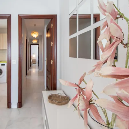 El Atico De Hercules Cádiz