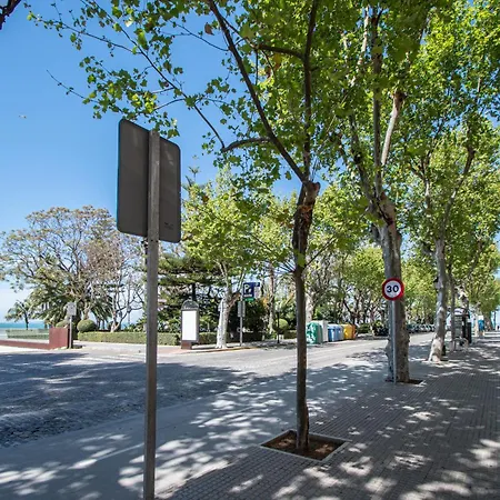 El Atico De Hercules 加的斯