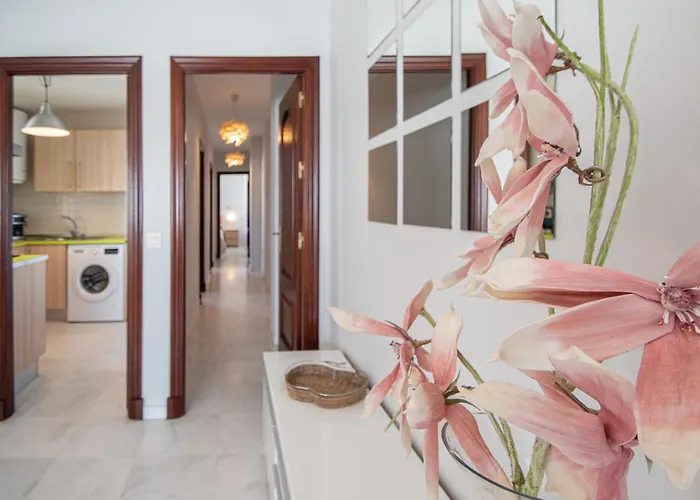 El Atico De Hercules Cadiz